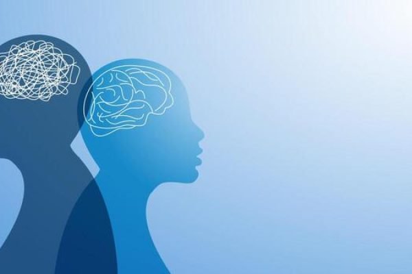 metaphor-bipolar-disorder-mind-mental-free-vector
