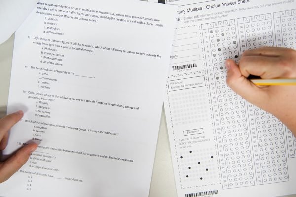 naplan-test